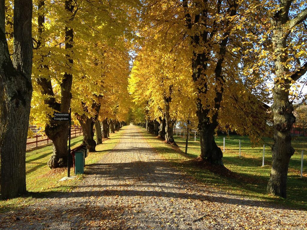 Runnvikens Pensionat Tystberga Exterior photo